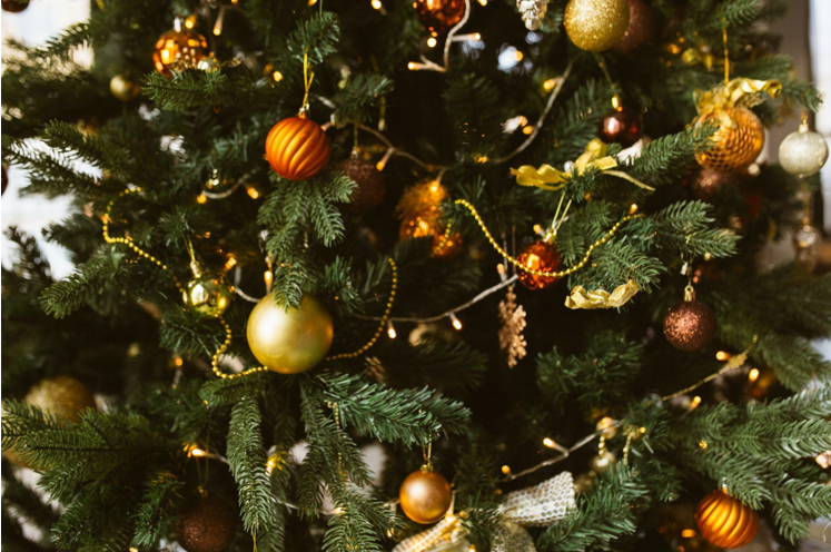 The Surprising Link Between Unlit Artificial Christmas Trees and Gut Health